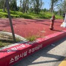 주정차-3 KBS