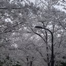 시립행신그린어린이집 | 인프라, 교통 만족 행신동 무원6단지