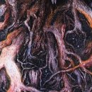 안온(Anon) 이미지