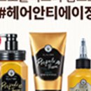 테라헤어 - 춘천시 | 테라헤어