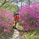 형제봉 이미지