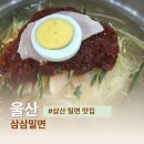 삼삼 | 울산 달동 맛집 밀면 삼삼밀면 점심 솔직후기