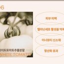 다문화건강랜드