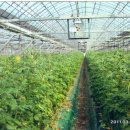 세도농장 이미지