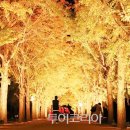 (주)은행나무 이미지