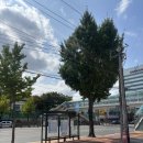 대명역 4번출구 이미지