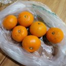 와이석정웰마트 네이버블로그