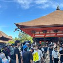 거성식품 | ★★★일본전문여행사 제펜고고★★★(JAPANGOGO)일본현지가이드문의