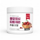 신비 인터내셔널