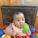 봉산골 어죽