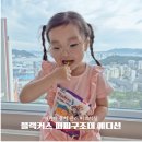 퍼피마마 | 치아우식과 어린이 충치 예방 유아치실 플랙커스 퍼피구조대 에디션