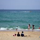 동해바다 이미지