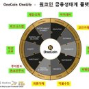 원코인쇼핑