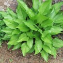 덕풍황토방 이미지