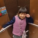 예솔유치원 이미지