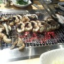 풍천장어 이미지