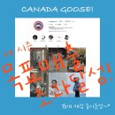 호야앤피플 | [15개 매장 동시 운영] 캐나다구스와 함께 성장한 1팀의 이야기