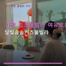 달빛솜솜키즈풀빌라 | 가평 키즈풀빌라 여유로운 휴식 달빛솜솜키즈풀빌라 예약 방법과 주차 정보 확인
