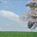 동화목장 이미지