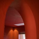 아누캄파(ANUKAMPA) 이미지