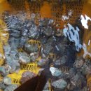 소안도 미소펜션 이미지