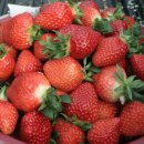 무내미농장 이미지