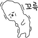 보얀트 캠핑 네이버블로그