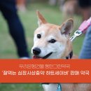 동탄우리약국 이미지