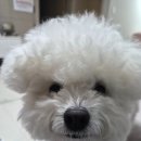 건대애플약국 | 02/03캐시워크돈버는귀즈정답과 비트버니 퀴즈 정답리스트