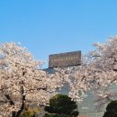 그랜드하얏트서울 | 서울 호캉스 추천 | 그랜드 하얏트 서울 객실 후기 + 수영장, 키즈라운지, 수유실 총정리