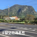 [제주 담모라 호텔앤리조트] 산방산 근처 수영장 있는 가성비 최고의 숙소