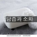 담즙과 소화 <9월 12일 > 이미지