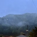 강애산애 이미지