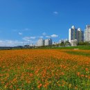 황금노을 이미지