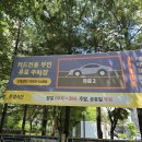 미쳐버린파닭(춘천점) | [하남시청역닭갈비] 노포 감성에 압도적인 가성비와 양까지 미쳐버린 '춘천명동닭갈비' 장리단길회식 강추