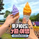 아이스크림팜 | 7월, 8월 일본 여행지 추천 훗카이도 삿포로 팜도미타: 라벤더 아이스크림, 라벤더 마유 팩 구매 후기