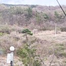 청도 그린나래캠핑장 이미지