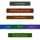 신도IT시스템 | 035 인지 부조화 Cognitive Dissonance - "알면서도 산다"