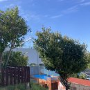 미하스빌1 이미지