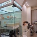 동백살롱 | 살롱드보떼 동백점 만족 후기 : 동백피부관리 ✨