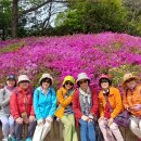 백세공원 이미지