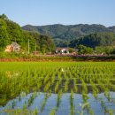 스테이홍천 이미지