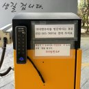 미미앤루씨