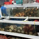 호텔쿼츠 | [부산 송도 암남공원 맛집] 풍부한 구성에 만족한 ‘갈매기’ 찐 후기