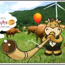 평창우리한우