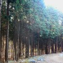 성주산자연휴양림 이미지