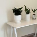 몽글멍글 이미지