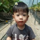 유신농장 이미지