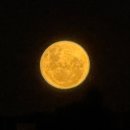 (주)한국레미콘 | [공지] [ 호주 생활 D + 66 ~ 80 ] 무지개가 넘쳐나는 시드니, 300만원 회식, 호주에서 전기일 시작하기