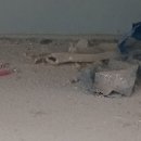 서희아파트2단지 | 간석동 LH2단지아파트 입주청소후기